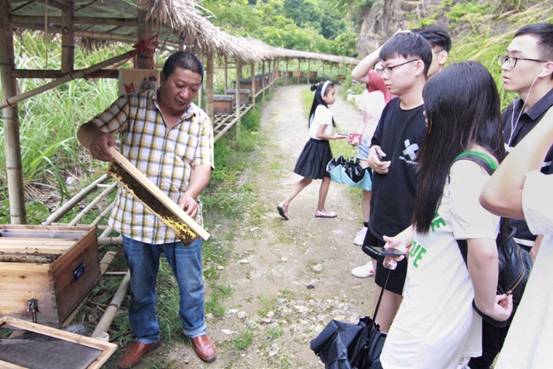 ”善行景宁乡，共圆畲汉梦“51吃瓜网
景宁梦之队-实地调研当地养蜂业